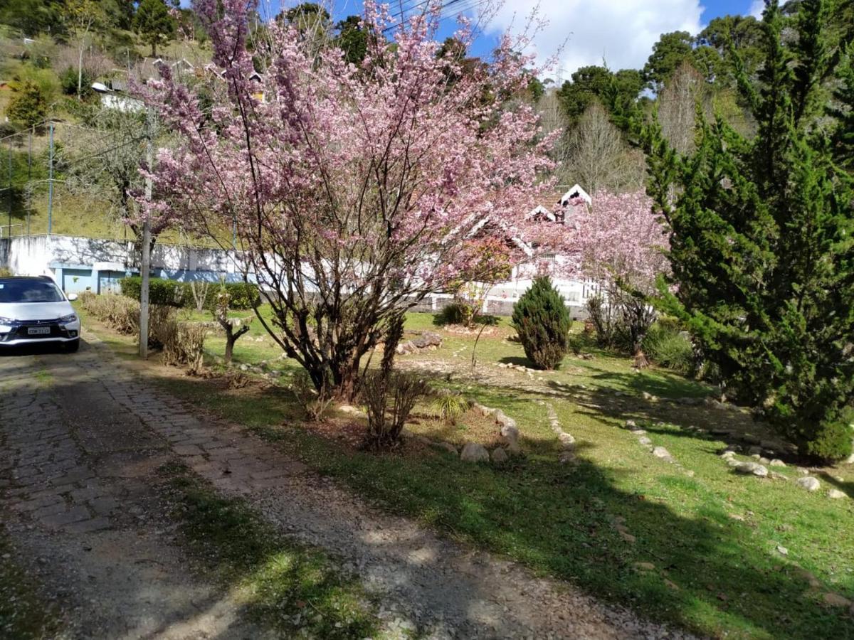 Colonia Saa
