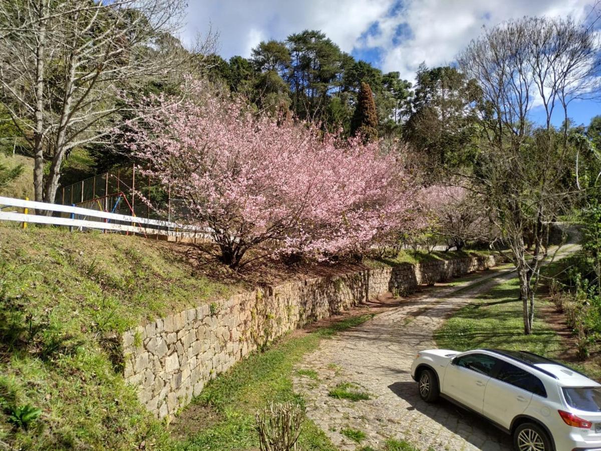 Colonia Saa Pensão Campos do Jordão