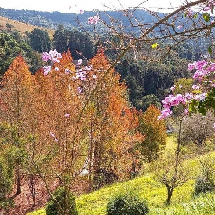 Colonia Saa Pensão Campos do Jordão