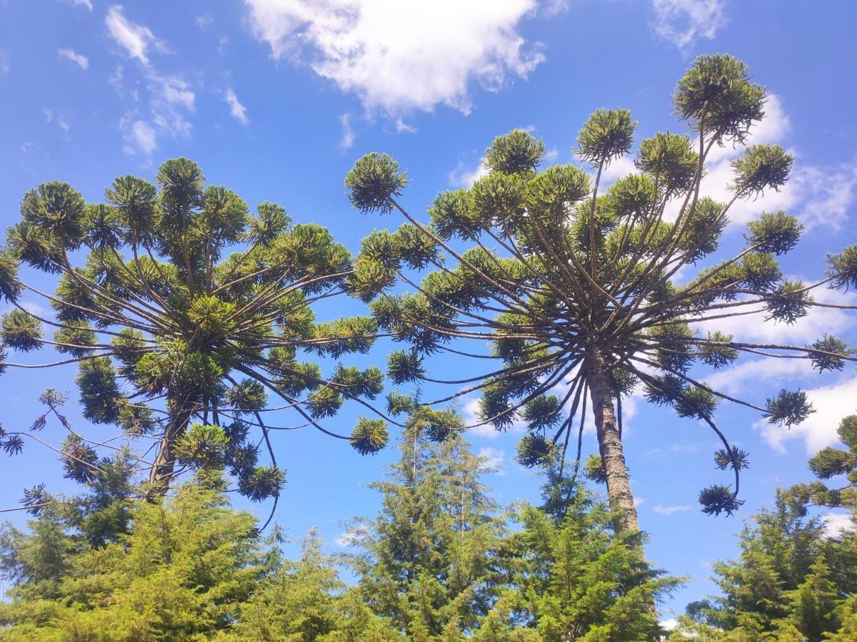 Pensão Colonia Saa Campos do Jordão