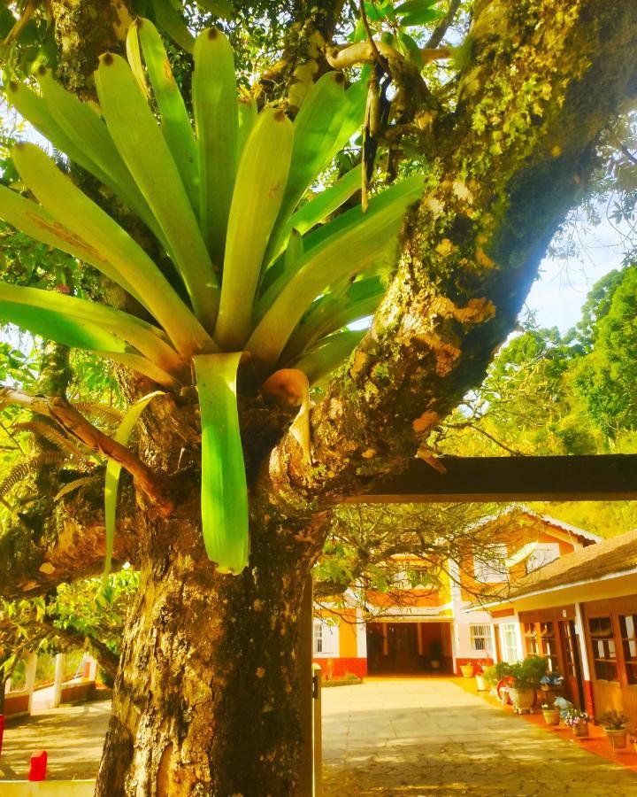Pensão Colonia Saa Campos do Jordão